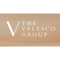 The Valesco Group 2026 Company Profile: Valuation, Funding & Investors ...