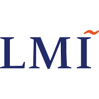 LMI Government Consulting