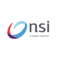 NSI IT Software & Services