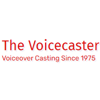 The Voicecaster 2026 Company Profile: Valuation, Funding & Investors ...