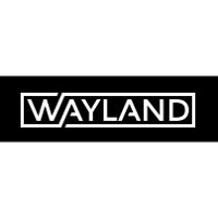 Wayland 2026 Company Profile: Valuation, Funding & Investors | PitchBook