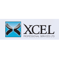Xcel Professional Services