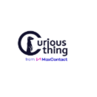 Curious Thing 2026 Company Profile: Valuation, Investors, Acquisition ...
