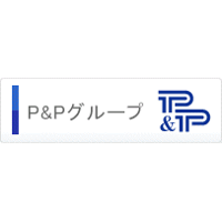 P & P Holdings