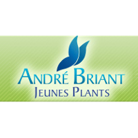 André Briant Jeunes Plants