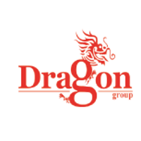 Dragon Group International Company Profile 2024: Stock Performance ...