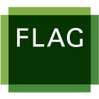 FLAG Capital Management
