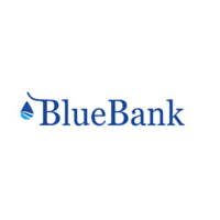 Blue Bank Company Profile 2024: Valuation, Funding & Investors | PitchBook