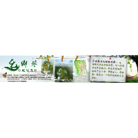 Hangzhou Saishi Landscape Group