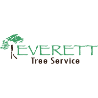 Everett Tree Service Raleigh