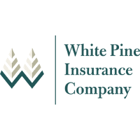 White Pine Insurance 2026 Company Profile: Valuation, Investors ...