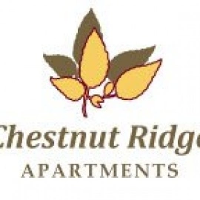 Chestnut Ridge Apartments in Louisville, Kentucky 2026 Company Profile ...