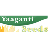 Yaaganti Seeds