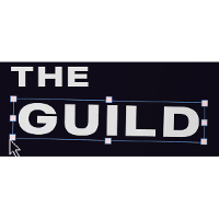 The Guild (Business/Productivity Software) 2026 Company Profile ...