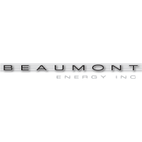 Beaumont Energy Company Profile Valuation Investors Acquisition