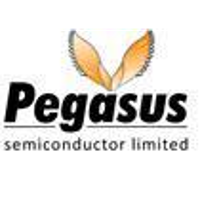 Pegasus Semiconductor