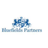 Bluefields Partners Company Profile: Service Breakdown & Team | PitchBook