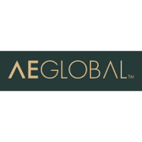 AE Global 2026 Company Profile: Valuation, Funding & Investors | PitchBook