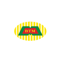 BTM Resources 2025 Company Profile: Stock Performance & Earnings ...
