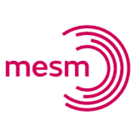 Mesm Company Profile 2024: Valuation, Investors, Acquisition | PitchBook