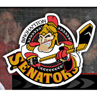 File:Binghamton Senators Hockey (50511144022).jpg - Wikimedia Commons