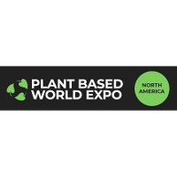 callisia plant Callisia Repens Gold | Miniature Trailing Houseplant