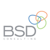 BSD Consulting Brasil