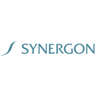 Synergon Informatika