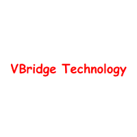 VBridge Technology