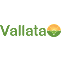 Vallata 2026 Company Profile: Valuation, Funding & Investors | PitchBook