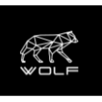 Wolf (Automotive) Company Profile 2024: Valuation, Funding & Investors ...