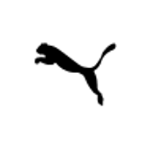 Puma holding hot sale company