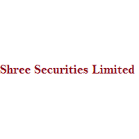 Shree Securities Company Profile 2024: Stock Performance & Earnings ...