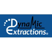 Dynamic Extractions