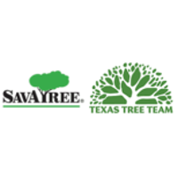 Texas Tree Team 2026 Company Profile: Valuation, Investors, Acquisition ...