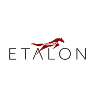 Etalon 2026 Company Profile: Valuation, Funding & Investors | PitchBook