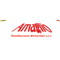 Amaglio Distribuzione Alimentari Company Profile 2024: Valuation ...