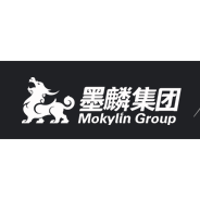 Shenzhen Mokylin Technology Co. Company Profile 2024: Valuation ...