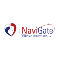 NaviGate Cardiac Structures