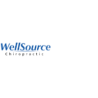 Wellsource 2026 Company Profile: Valuation, Investors, Acquisition ...