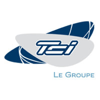 Transelec Common 2026 Company Profile: Valuation, Investors ...