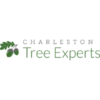 Charleston Tree Experts Company Profile: Valuation & Investors | PitchBook