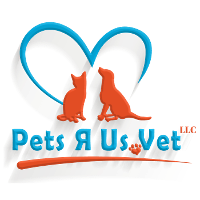 Pets R Us Vet Company Profile 2024: Valuation, Funding & Investors 