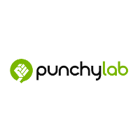 Punch Lab 2026 Company Profile: Valuation, Funding & Investors | PitchBook