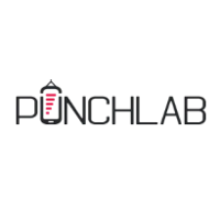 PunchLab 2026 Company Profile: Valuation, Funding & Investors | PitchBook