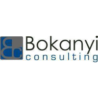 Bokanyi Consulting