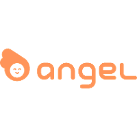 Angel (Business/Productivity Software) 2026 Company Profile: Valuation ...