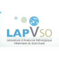 Lapvso – Laboratoire d'Anatomie Pathologique Vétérinaire du Sud
