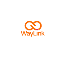 WayLink 2026 Company Profile: Valuation, Funding & Investors | PitchBook