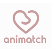 Animatch 2026 Company Profile: Valuation, Funding & Investors | PitchBook